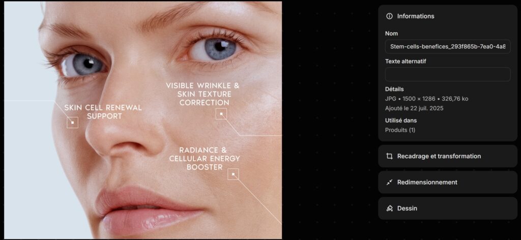renseigner le texte ALT d'une image dans Shopify